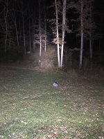 IMG_0684.JPG