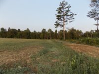 DSCN5182.JPG