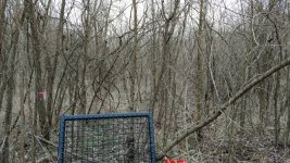 IMG_20180120_115717548.jpg