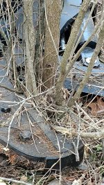 IMG_20180120_110646158.jpg