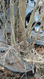 IMG_20180120_110647855.jpg