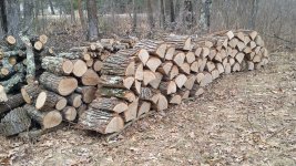 20171129_101051.jpg