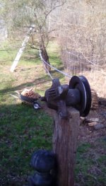 clothesline.jpg