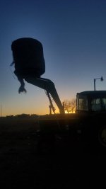 20180120_173237.jpg