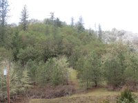 IMG_0771.JPG