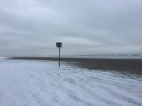 beachsnow.jpg