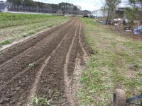 IMG_0595[1].JPG