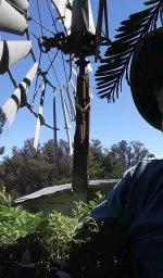 20170709_161534rOnTopOfRedwood-2017.jpg