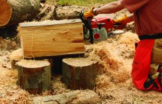 chainsaw-3.jpg chainsaw-3.jpg