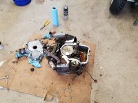 briggs_engine_gasket.jpg