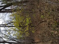 20171204_133629.jpg