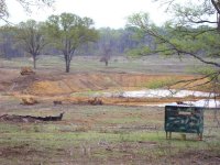 847994-pond2.JPG