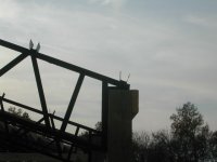 768819-Building truss top.jpg