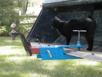 728211-Pic415 (Small).JPG