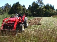 728433-MVC-006F---small.jpg