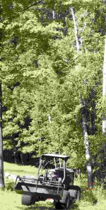 728718-hung tree.jpg