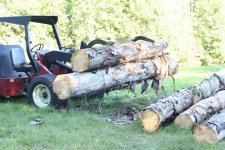 728742-More logs.jpg