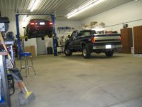 807882-celling 1.jpg