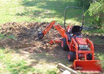 648059-Pine Stump 1 LR.jpg