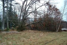 807928-OAK 4.jpg