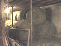850240-DSC01159m (Small).JPG