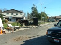 770470-smallbuggy.jpg