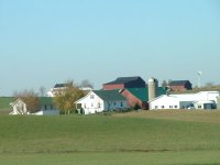 770473-family compound.jpg