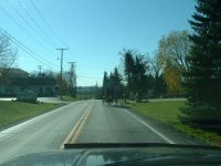 770478-small buggy.jpg