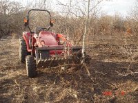 808581-treegetter1.jpg