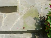 730195-Step 1.JPG