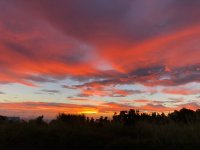IMG_0022.JPG