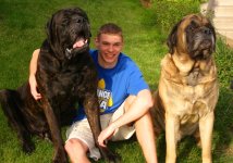 dogss 002.jpg