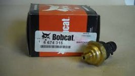 bobcat.jpeg