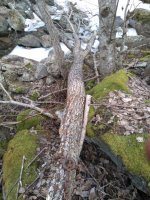 IMG_20180323_105636.jpg