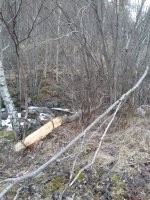 IMG_20180323_110115.jpg