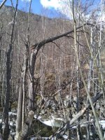 IMG_20180323_140624.jpg