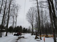 IMG_0136 (Large).JPG