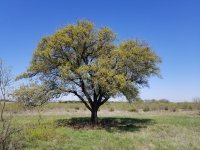 20180330_113935.jpg