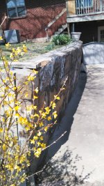 IMG_20180324_135238[1].jpg