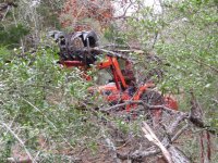 trail clearing.jpg