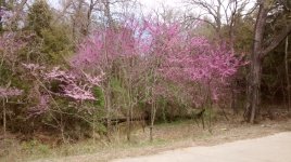 IMG_20180324_133848730.jpg