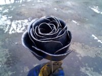 image-2275444055.jpg