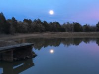 IMG_1315.JPG