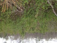 IMG_0233.JPG