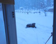 DSCN2723.jpg