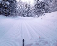 ski trail snow dec 2017.jpg