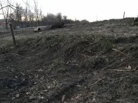 IMG_0095.jpg