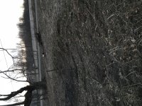 IMG_0096.jpg IMG_0096.jpg