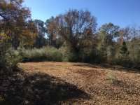IMG_1796.JPG
