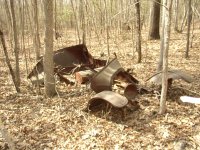 Car in the woods 3.JPG